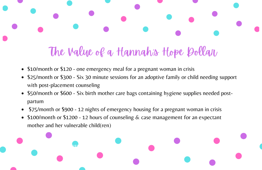 The Value of Hannah's Hope
